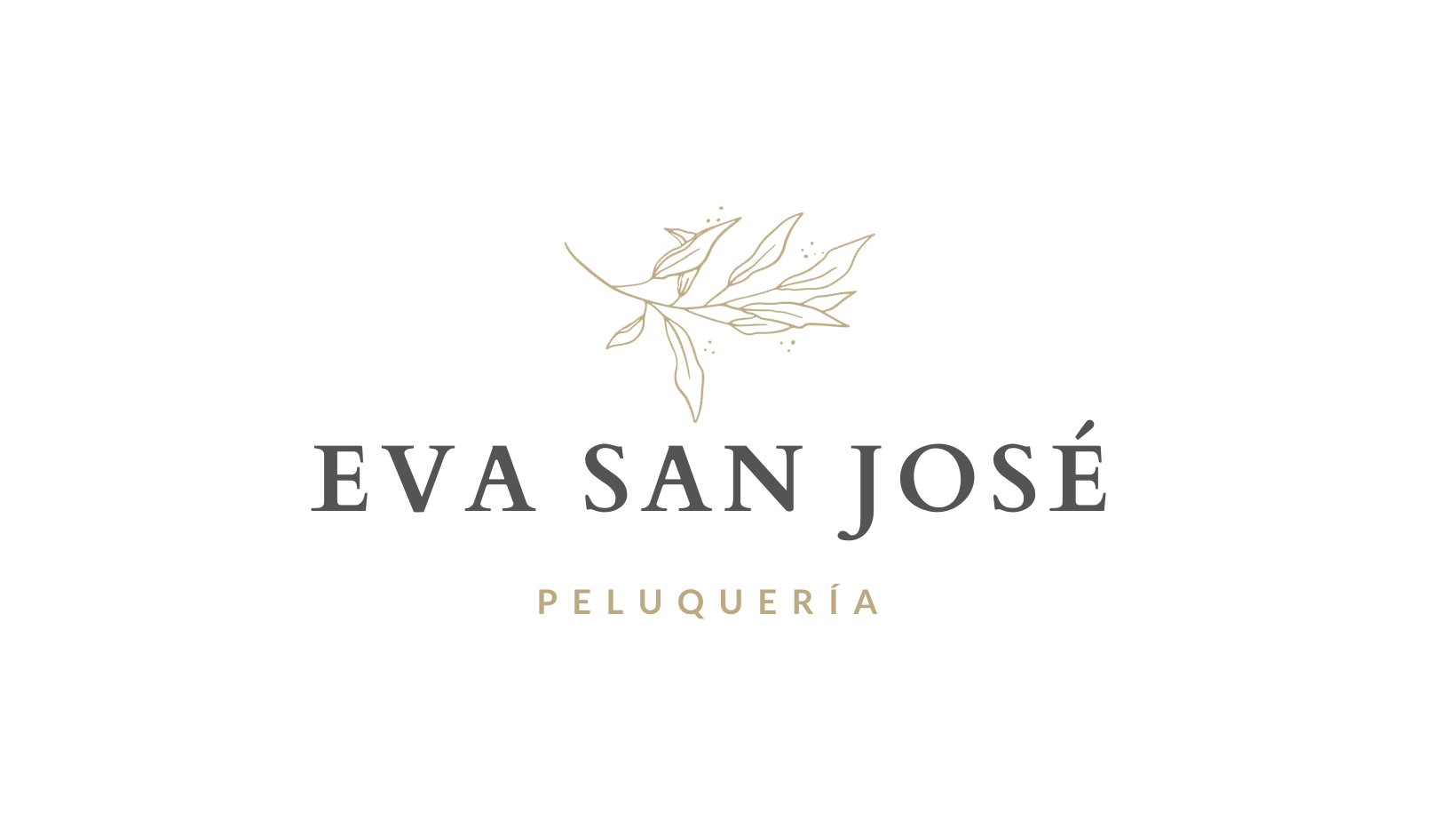 PELUQUERIA EVA SAN JOSE